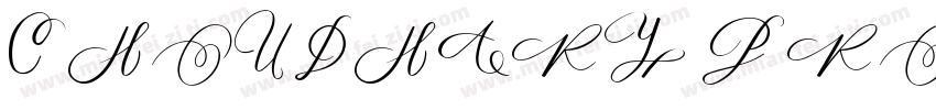 CHOUDHARY PRODUCTS I字体转换